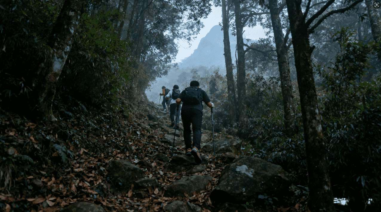 提升网络速度的蜜蜂蜂加速器使用经验